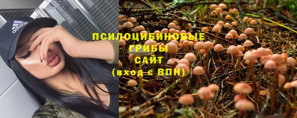MDMA Алексин